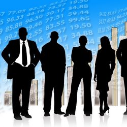 בדיקת ביטוחים לפי ת.ז